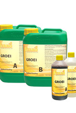 FERRO FERRO STANDARD A+B SOIL/HYDRO GROEI