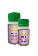 FERRO FERRO RADIX