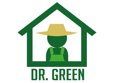 Dr Green