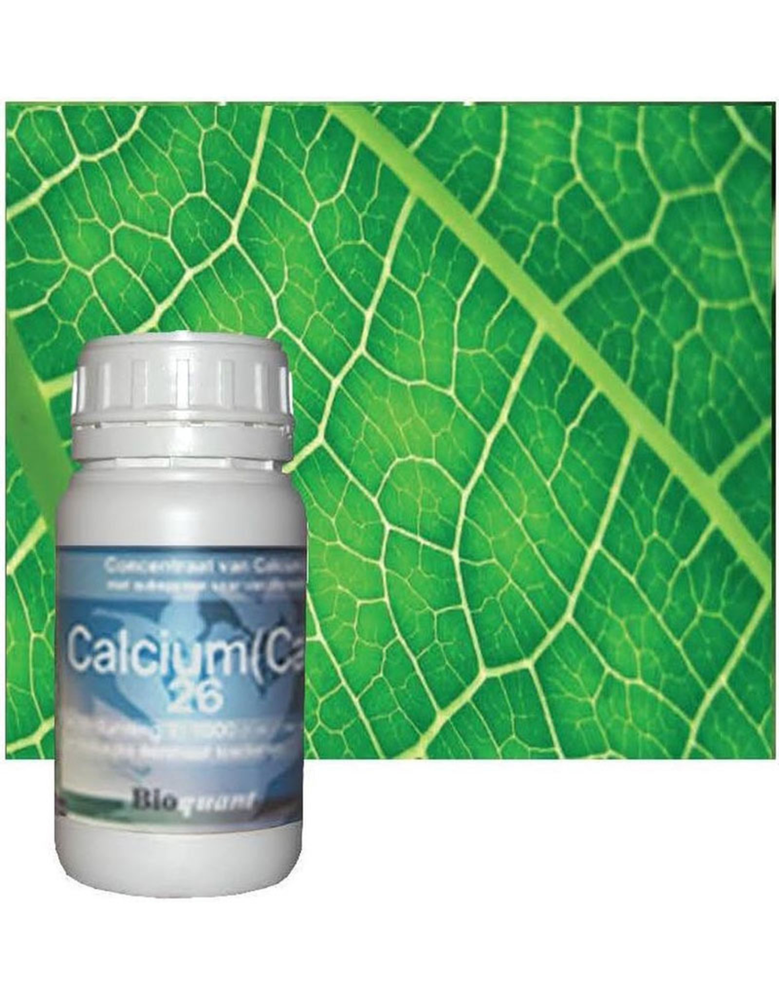 BIOQUANT BIOQUANT BIO MULTI CALCIUM