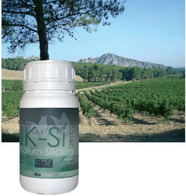 BIOQUANT BIOQUANT BIO FOLIAR K-SI