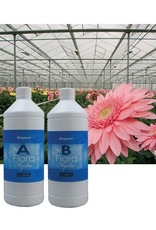 BIOQUANT BIOQUANT BIO MINERAAL FLORA A&B