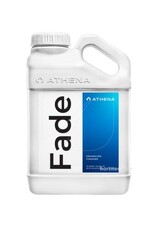 ATHENA ATHENA FADE