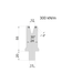 99.1230 - div. lengths