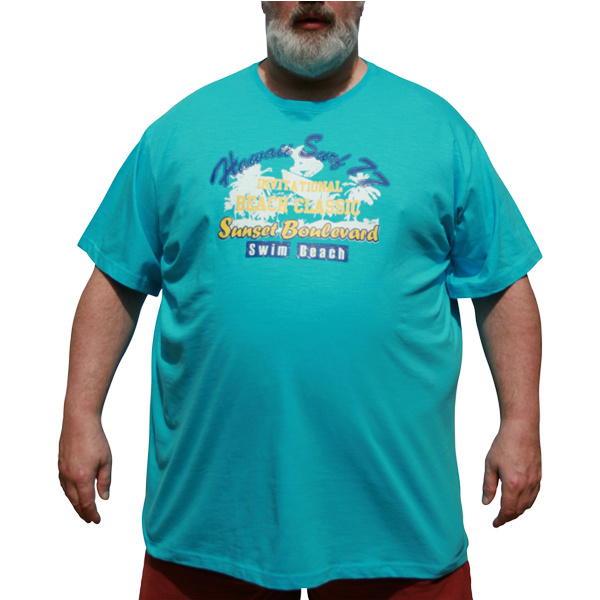 DAGIO Übergröße Blaugrünes T-shirt 3XL-8XL