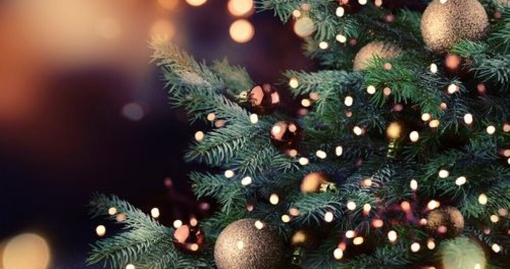 Openingstijden kerstdagen 2024