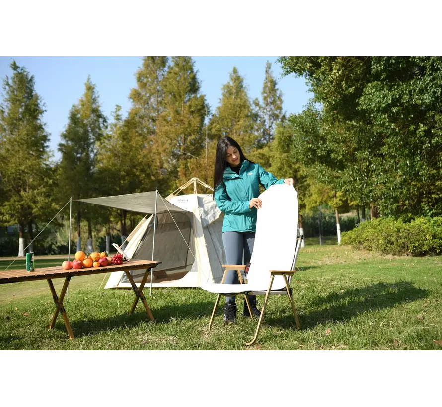 Warmtedeken draadloos Warmy