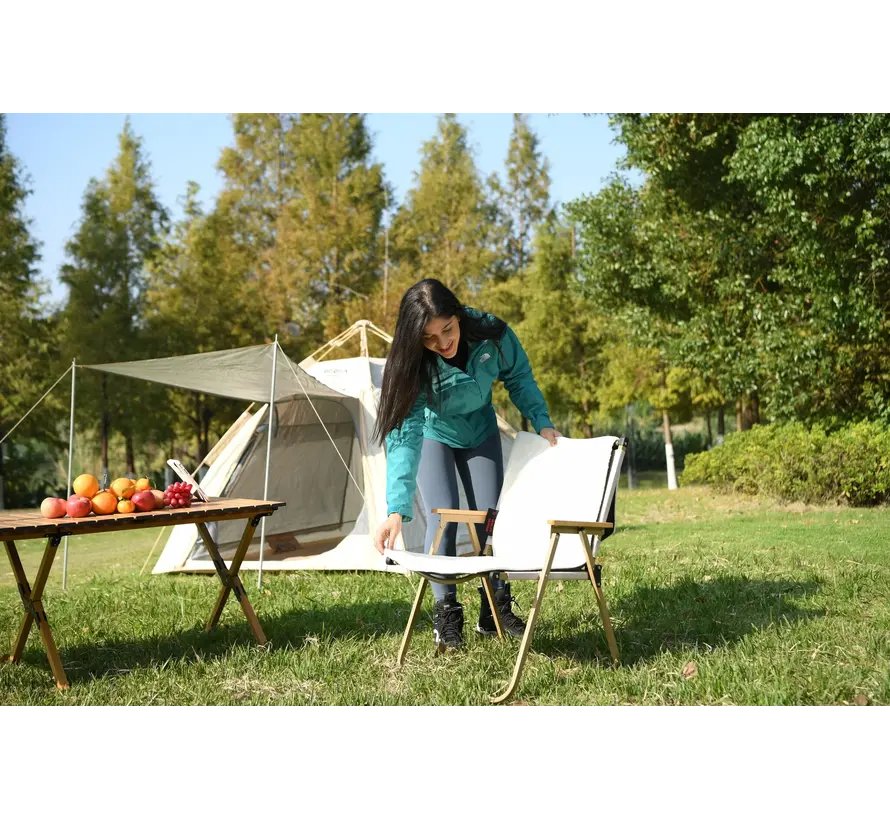 Warmtedeken draadloos Warmy