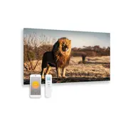 Tweedekans - Bedrukt glazen infrarood paneel met wifi en remote control leeuw 100x59 580Watt - Default