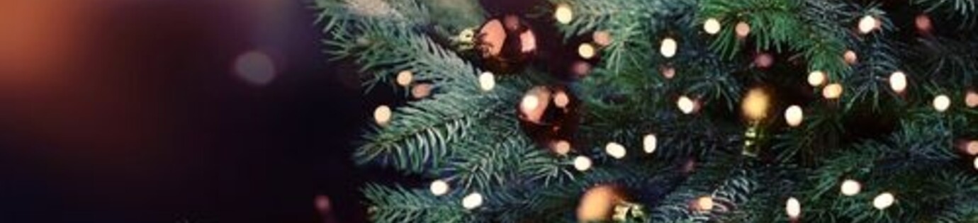 Openingstijden kerstdagen 2024