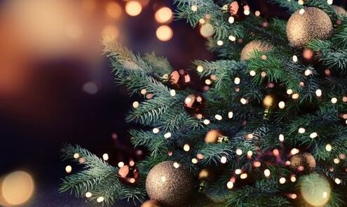 Openingstijden kerstdagen 2024
