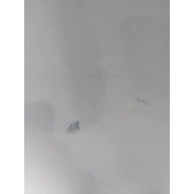 2ekans | Spiegel rond 80 cm met gouden frame, led verlichting en anti condens