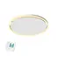 Tweedekans - QH-GlowRing Serie infraroodpaneel met led verlichting 56 cm 750Watt - Default