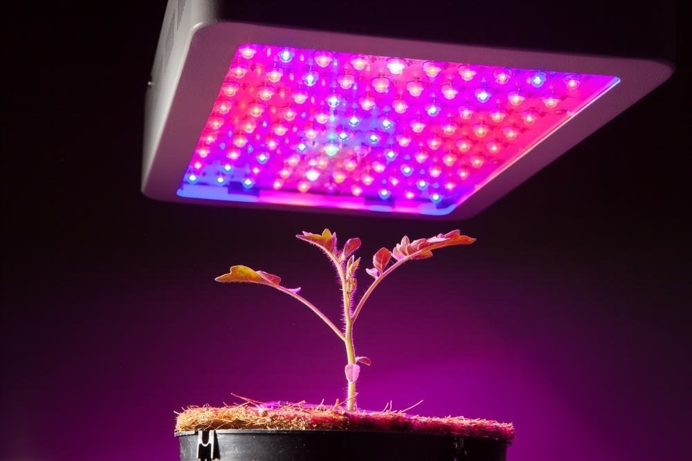 confirm The office simultaneous Wat zijn fullspectrum LED-groeilampen? - LEDs Grow Indoor