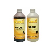 Ferro Aarde en Hydro Groei A&B 1 Ltr