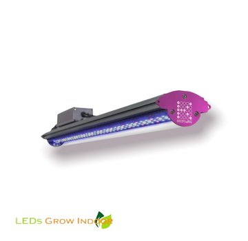 KIND LED Kind LED X80 (Groei)