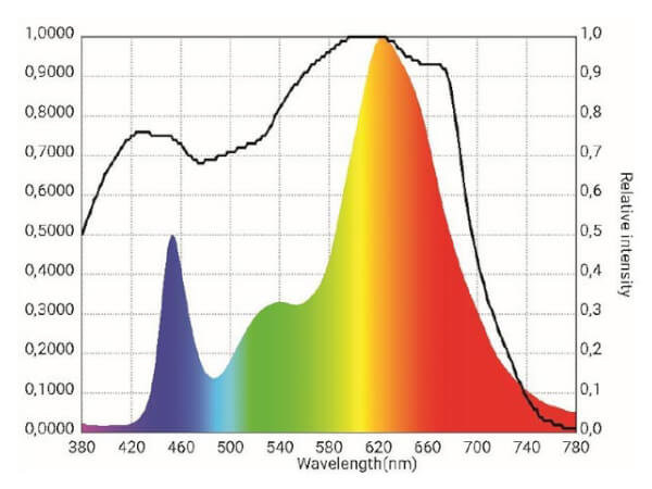 starter-250-wave-chart-2