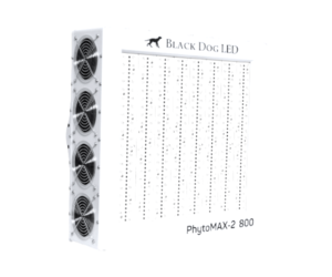 Phytomax outlet 2 800