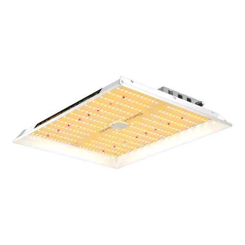 Mars Hydro LED Kweeklampen