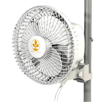 Secret Jardin Secret Jardin Monkey Fan 16w