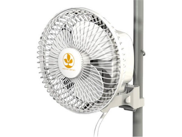 Secret Jardin Monkey Fan 16w