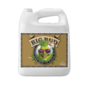 Advanced Nutrients Big Bud Coco 1ltr