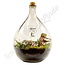 Plant terrarium "Urban Jungle XL"