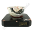 Anatomische model ' Oog'Klein Bock Steger Lips