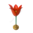 Model bloem rood