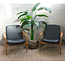 Vintage fauteuils - Zwart