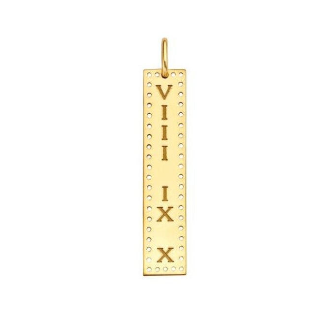 Identity Vertical Bar Perforated 14K Goud