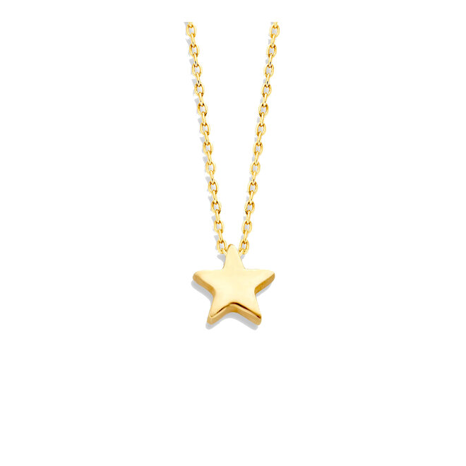 Capital Ster Ketting 14K Goud