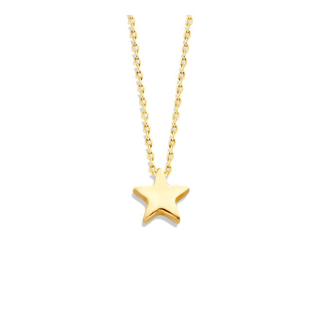Capital Ster Ketting 14K Goud