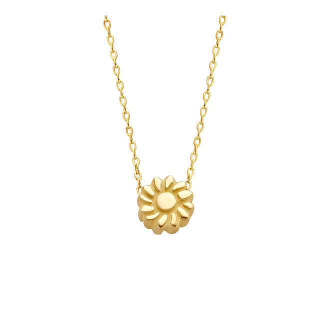 Capital Zon Ketting 14K Goud