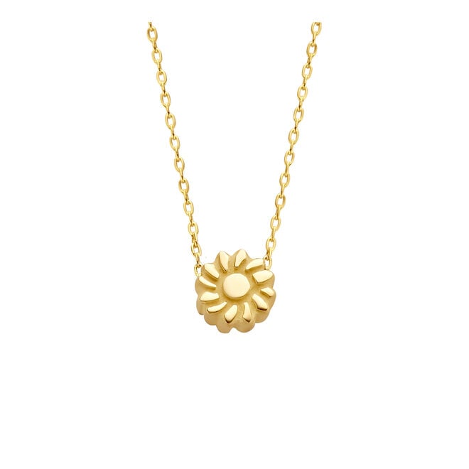 Capital Zon Ketting 14K Goud