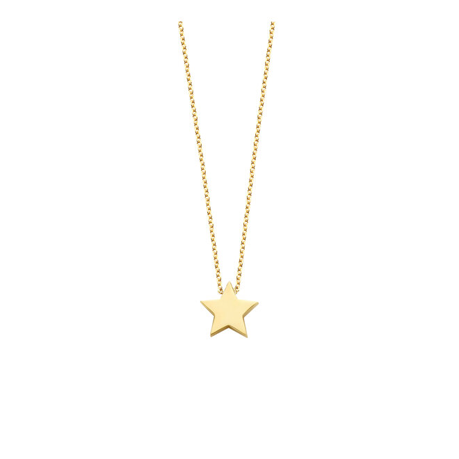 Ashes Necklace Star Small