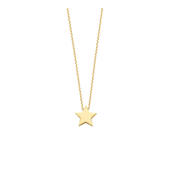 Ashes Collection Ster Asketting 14K Goud