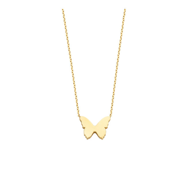 Ashes Collection Vlinder Asketting 14K Goud