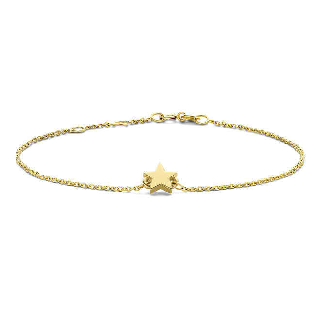 Ashes Collection Star Ashes Bracelet 14K Gold