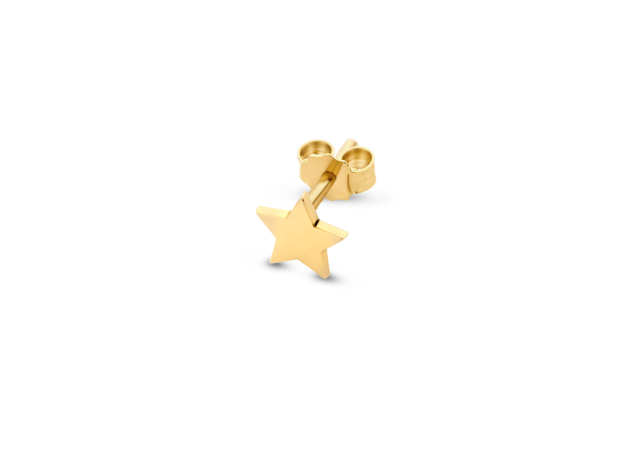 Franky's Treasure Star Earring