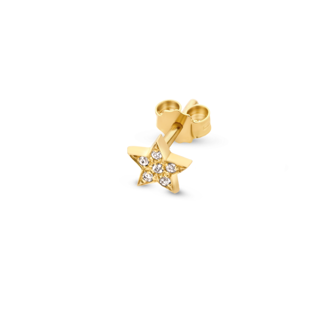 Franky's Treasure Star Diamond Earring
