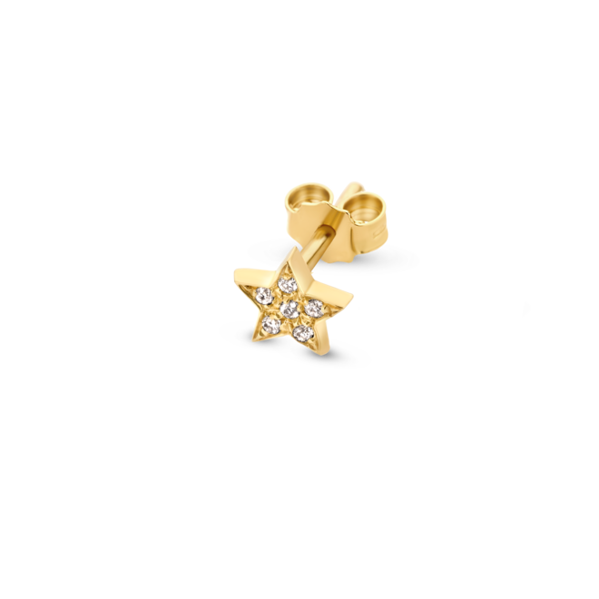 Franky's Treasure Ster Diamant Oorbel