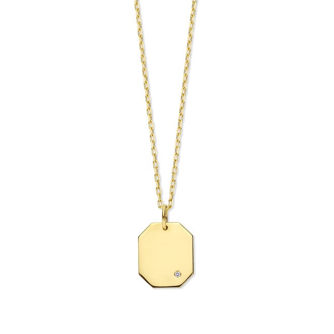 Tag Diamant Ketting 14K Goud