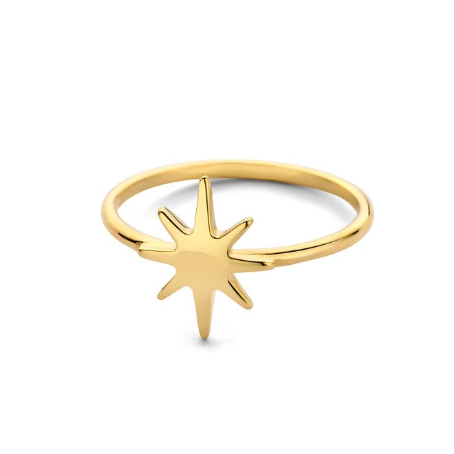 Universe Star Ring 14K Gold