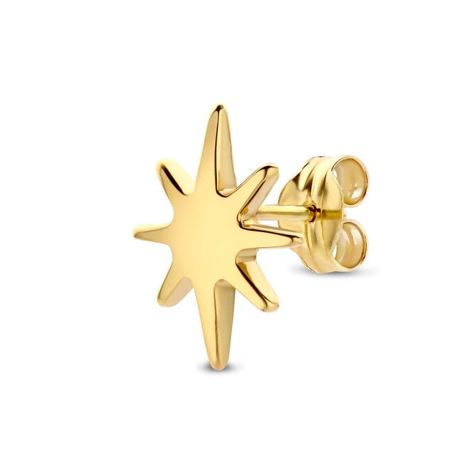 Universe Ster Oorbel 14K Goud