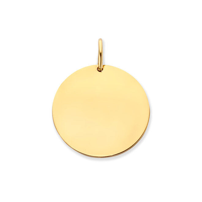 Coin Maxi 14K Goud
