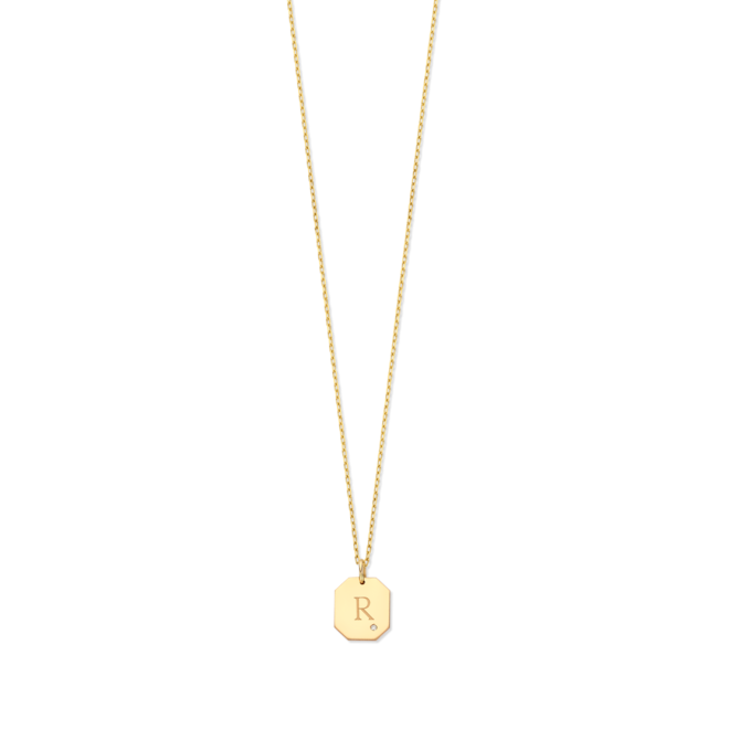 Tag Diamant Ketting 14K Goud