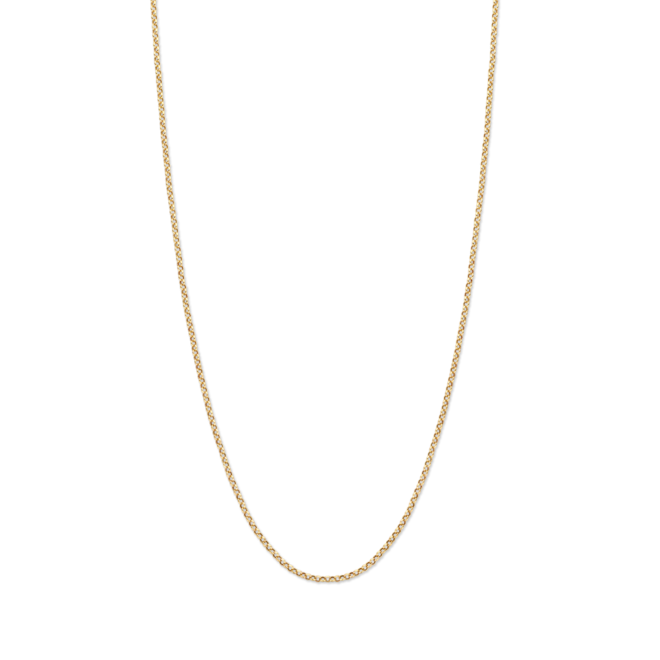 Charm Collect Necklace