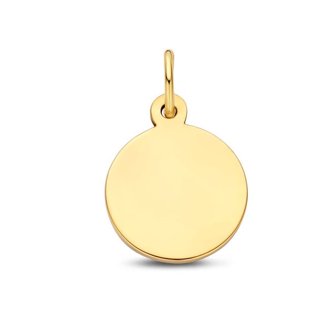 Charm Bedel Munt 14K Goud