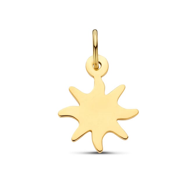 Charm Bedel Zon 14K Goud